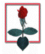 image002.gif