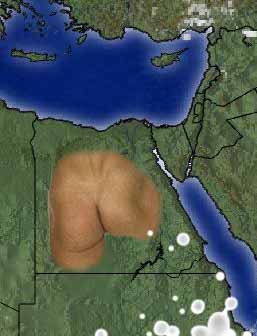 egyptspassive.jpg