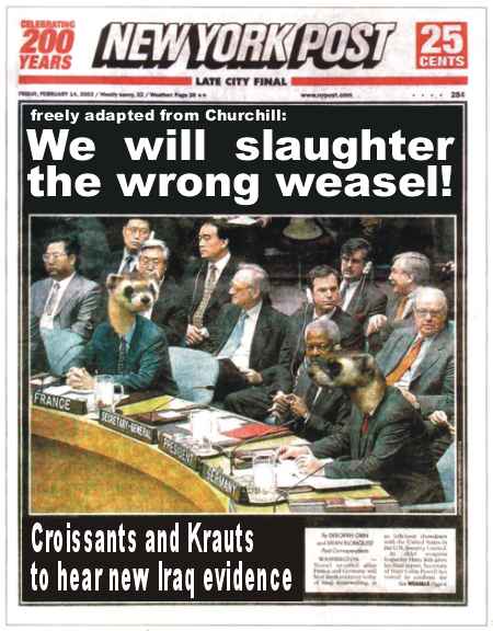 weasel.jpg
