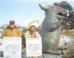 carpenters__rat.JPG