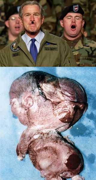 proofstobomb.jpg