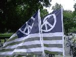flag1.jpg